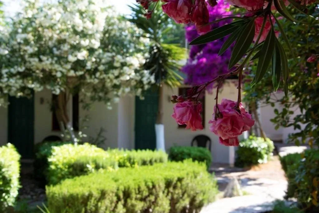 General view, Myndos Bed & Breakfast, Bodrum