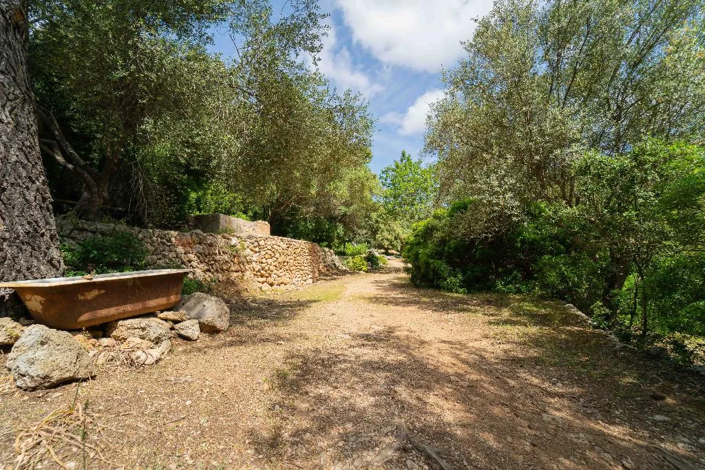 Sports and Entertainment, Hotel Rural S'Olivaret, Majorca