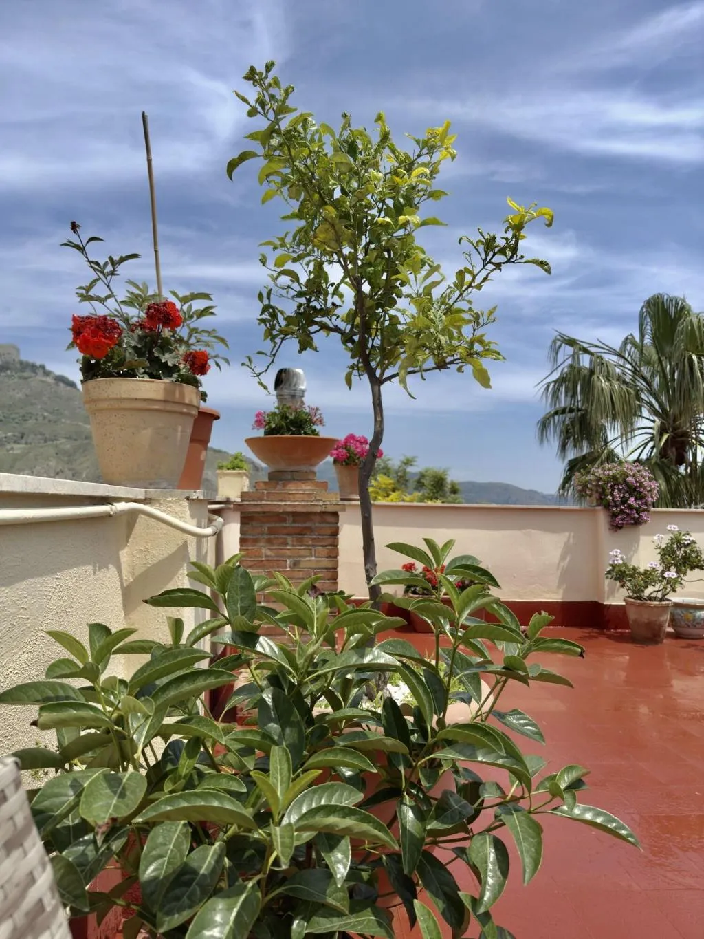Terrace, Inn Piero, Taormina