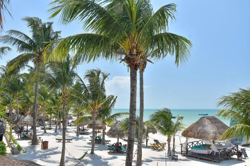 Room, Amaita Beach Hotel, Cancun Area