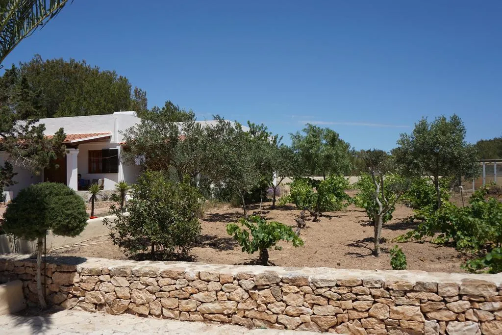 General view, Aguamar, Ibiza