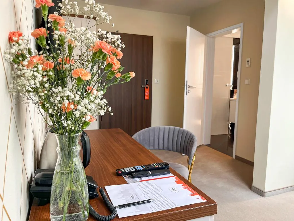 SINGLE STANDARD Room, Xerion Hotel, Krakow