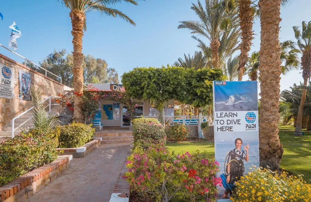 Sports and Entertainment, Fort Arabesque Resort, Spa and Villas, Red Sea Riviera