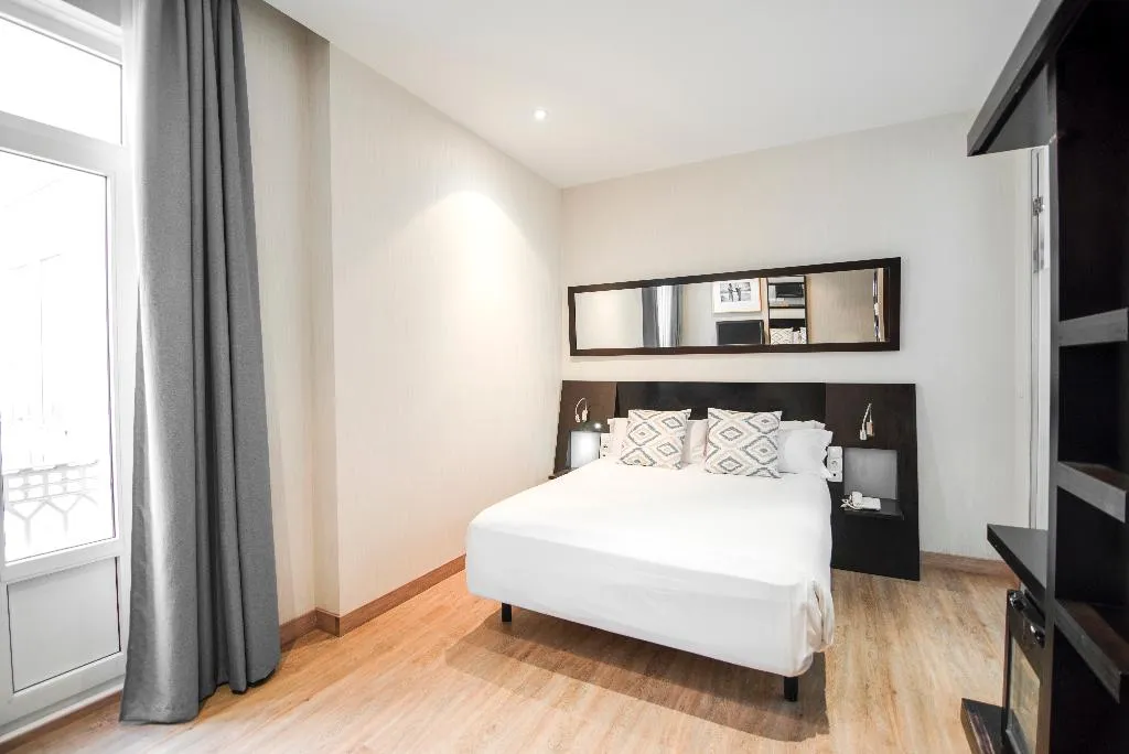 DOUBLE SINGLE USE STANDARD Room, Petit Palace Plaza de la Reina, Valencia
