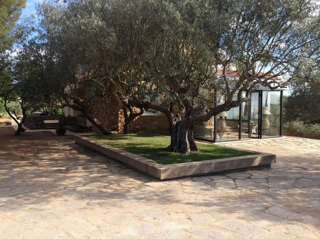 General view, La Collegiata, Catania