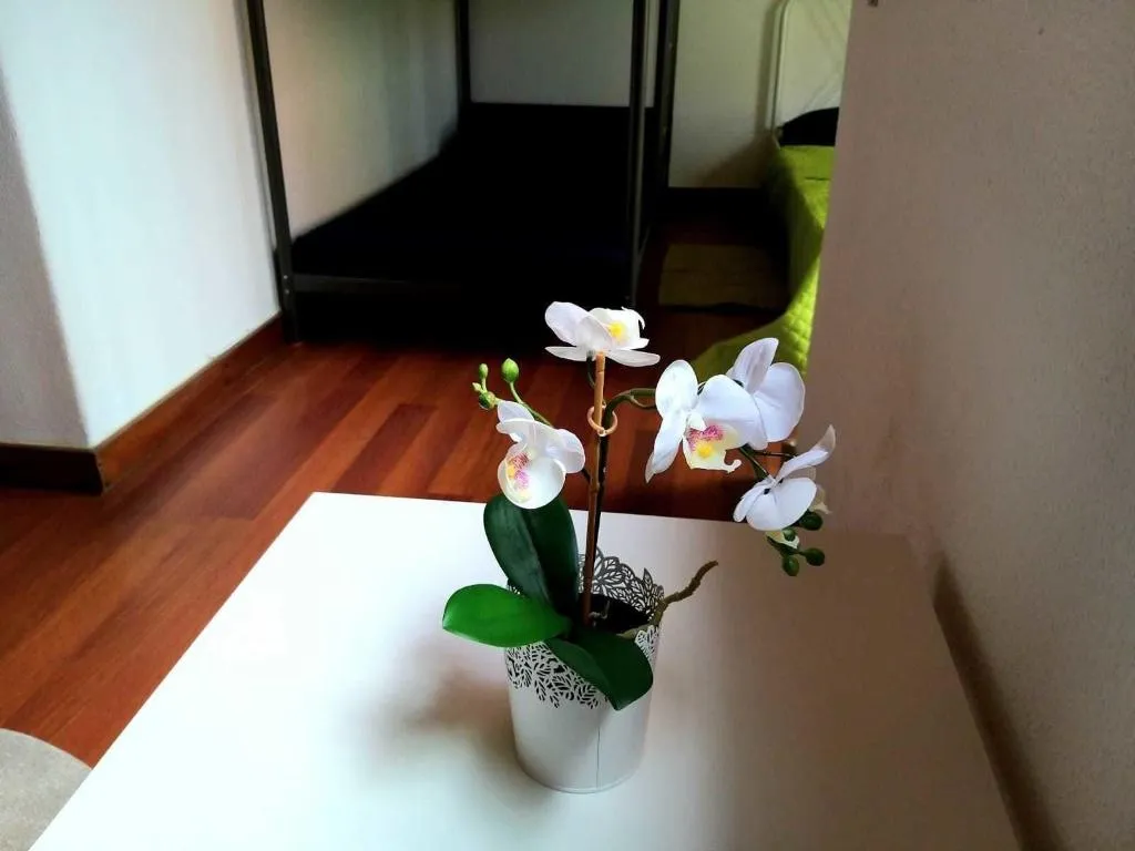 Room, Theorynomad AL Lisboa - Hostel, Lisbon