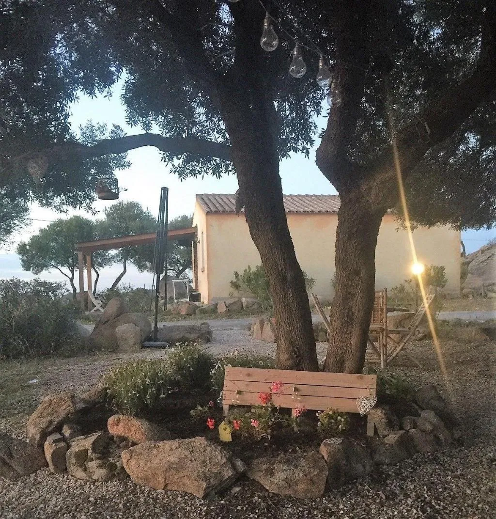 General view, B&B Su Donnigheddu, Olbia