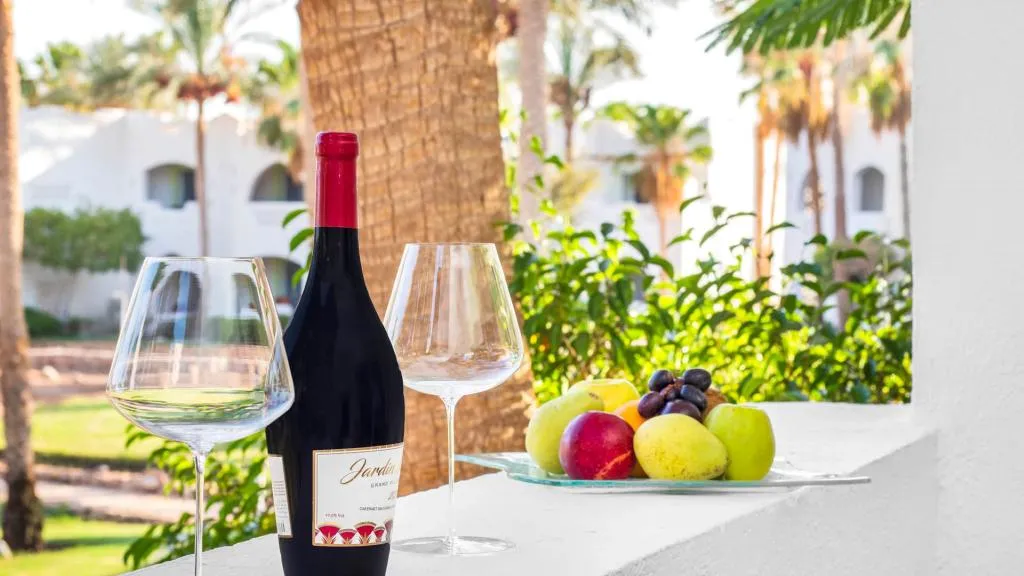 Double or Twin GARDEN VIEW Room, Domina Coral Bay Resort, Diving , Spa & Casino, Red Sea Riviera
