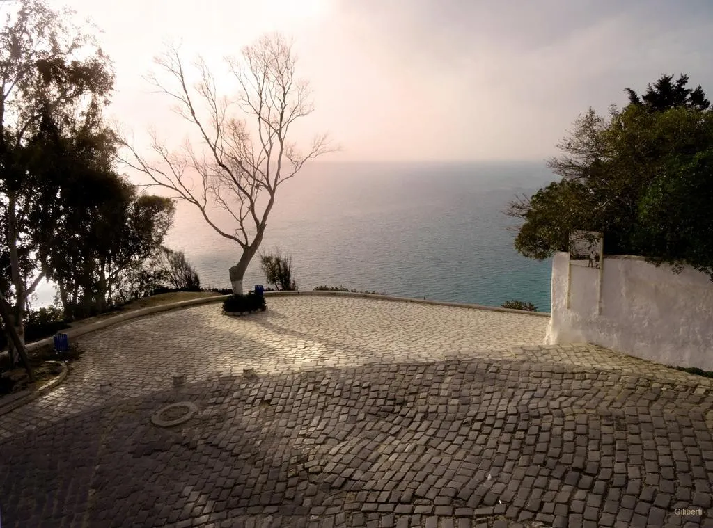 General view, La Villa Bleue, Tunisia
