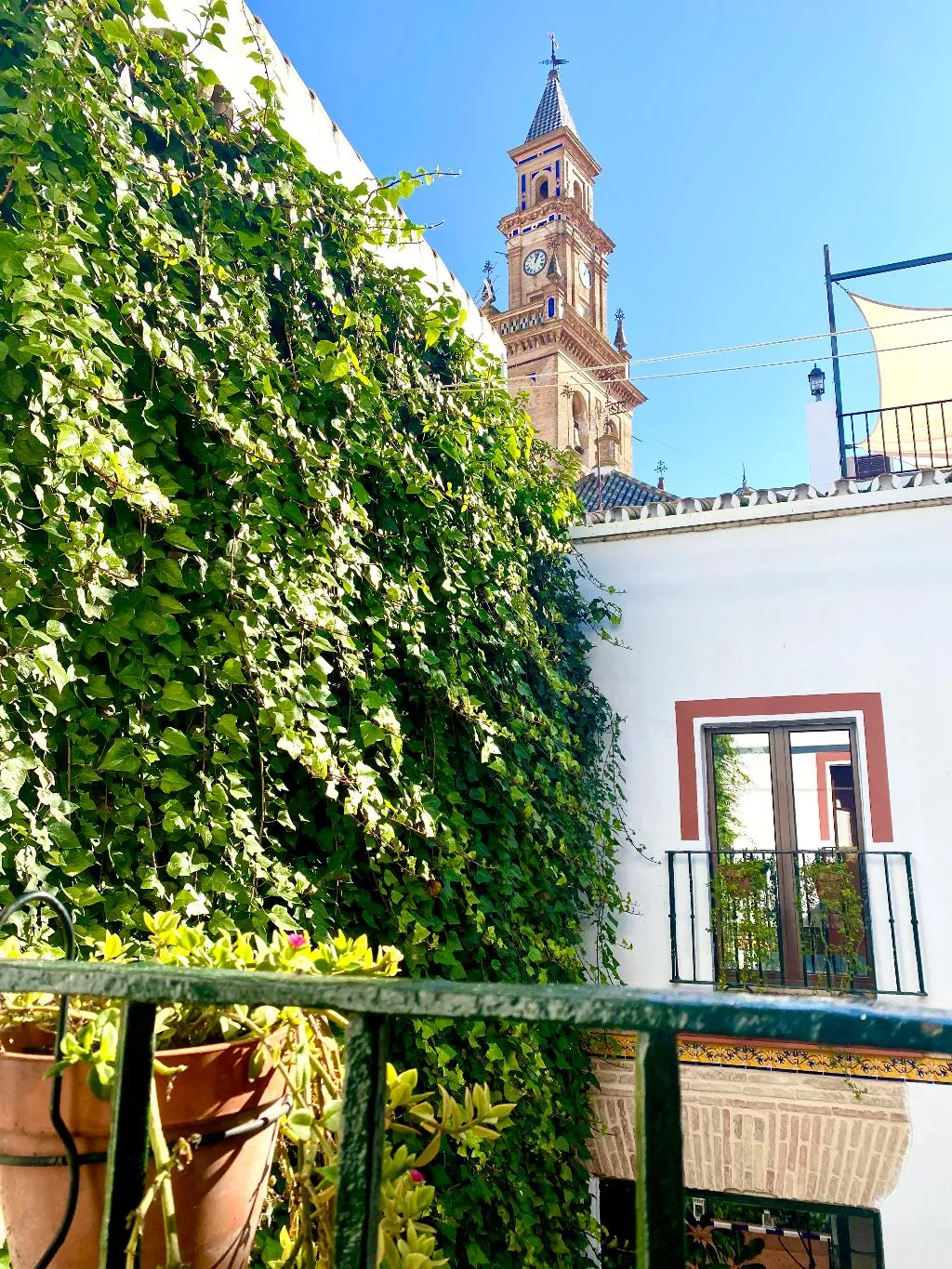 Terrace, El Rincon de las Descalzas, Seville