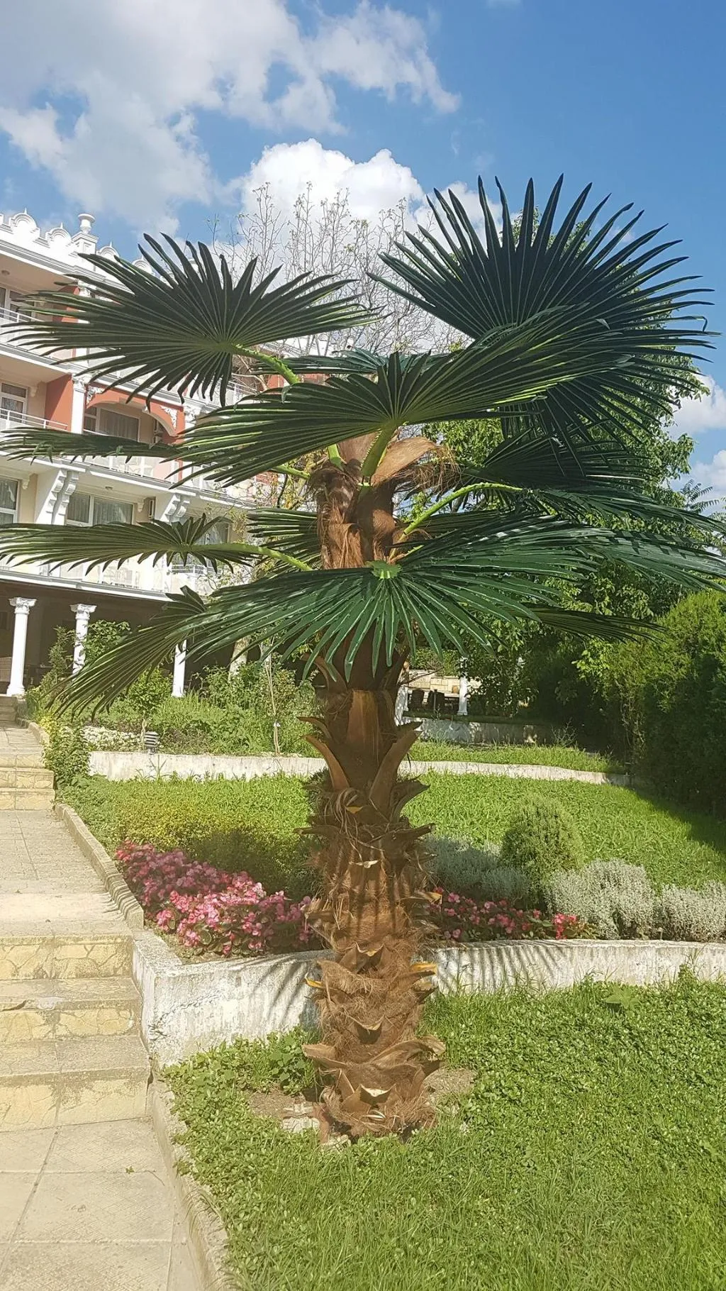 Terrace, Elit Palace Hotel & Spa, Varna