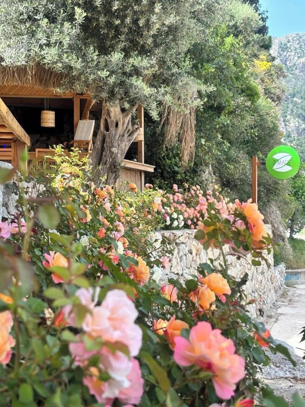 General view, Z Villas, Dalaman