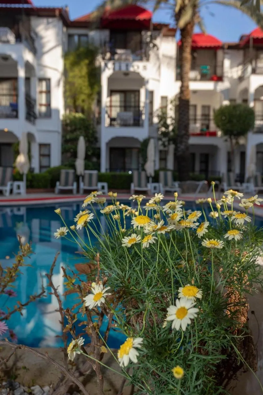 Pool, Mitos Apartments, Dalaman