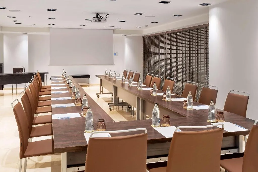 Conferences, Melia Madrid Princesa, Madrid