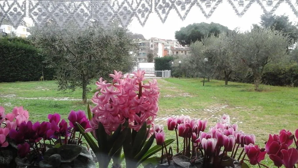 Room, B&B o'Chalet, Naples