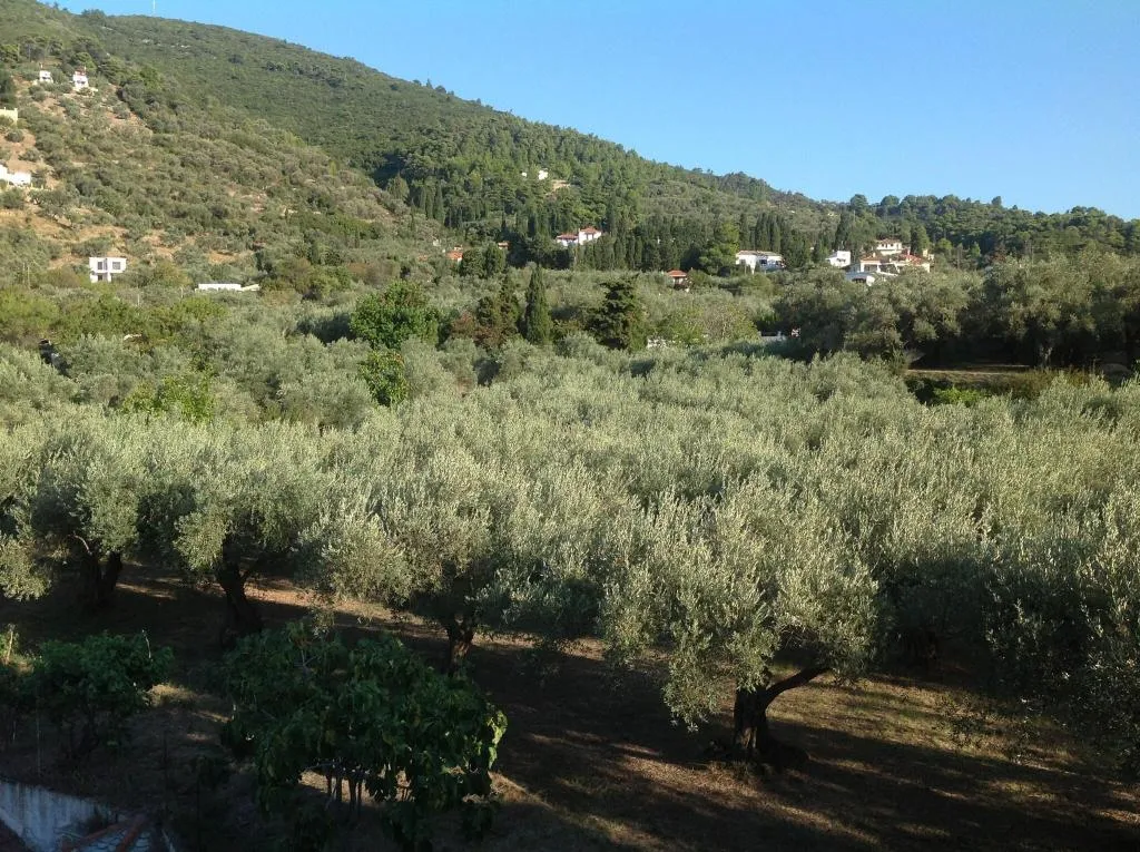 Room, Prince Stafylos, Skiathos