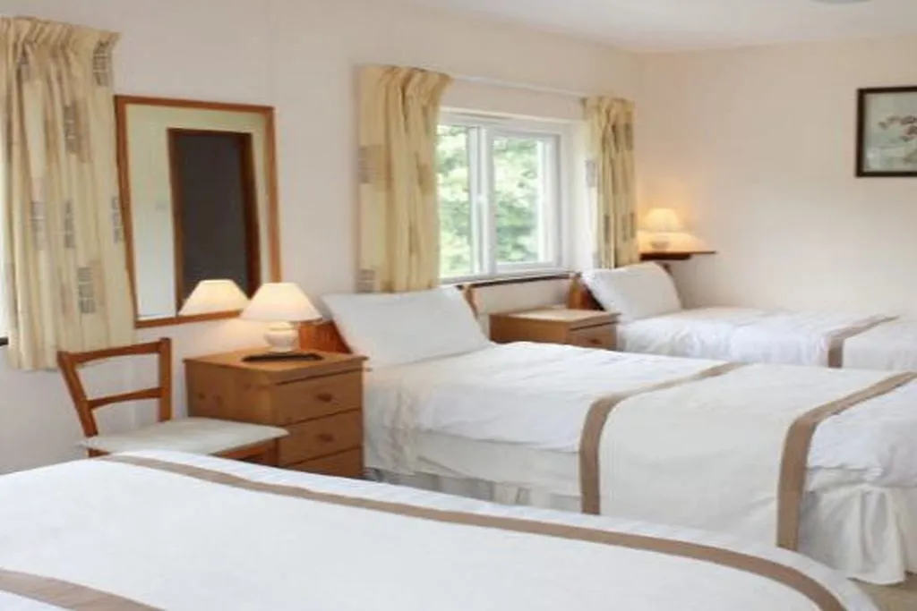 Room, Dromcloc House, Cork