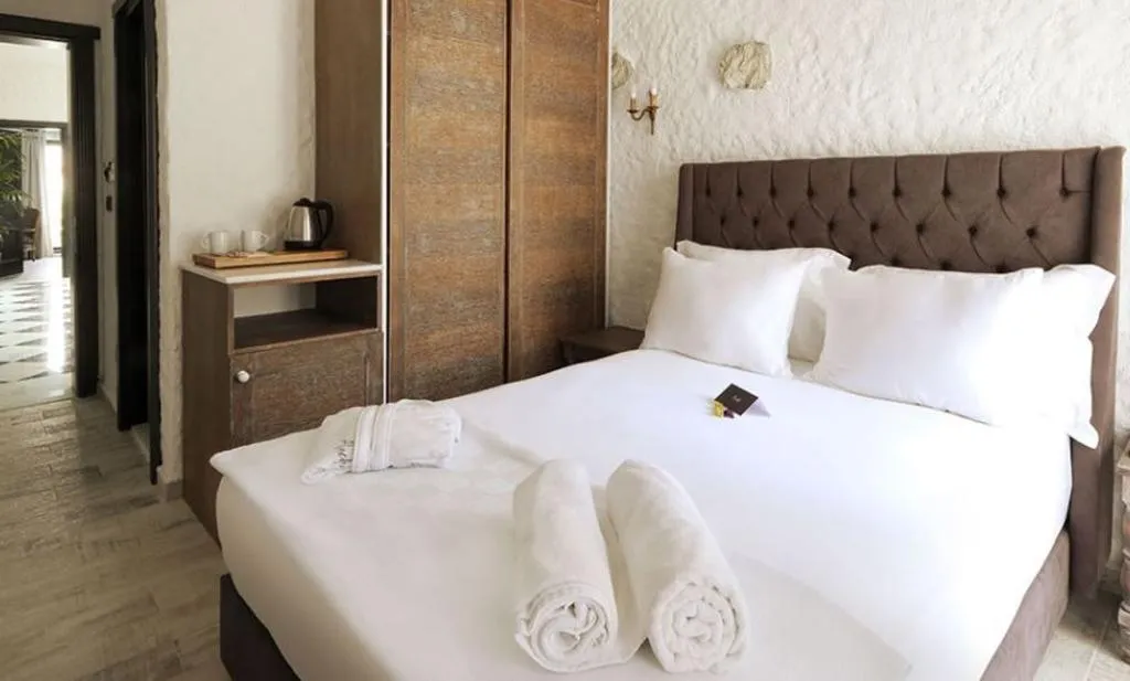 DOUBLE STANDARD Room, Alachi Hotel, Izmir