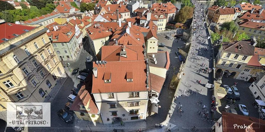 General view, U Tri Pstrosu, Prague