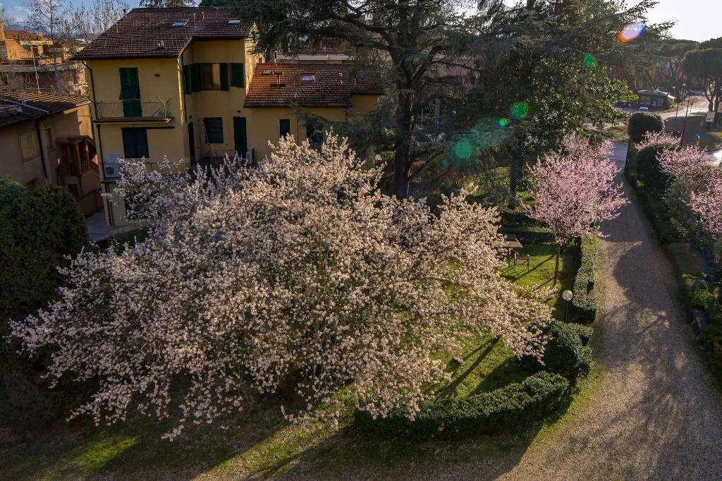 General view, Dimora Salviati, Florence
