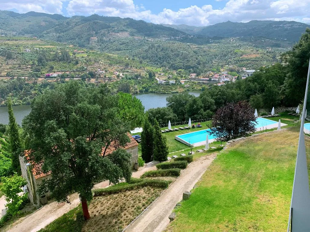Pool, Douro Palace, Porto