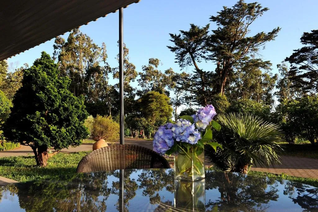 Terrace, Quinta da Cova do Milho, Madeira