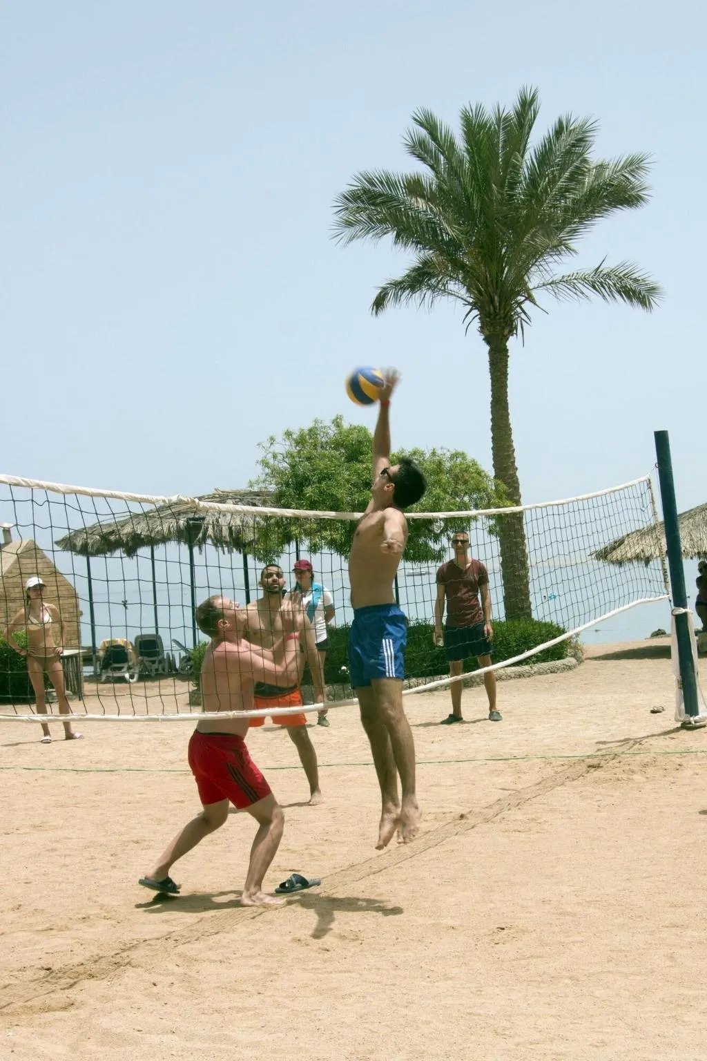 Sports and Entertainment, ZYA Regina Resort and Aqua Park Hurghada, Red Sea Riviera