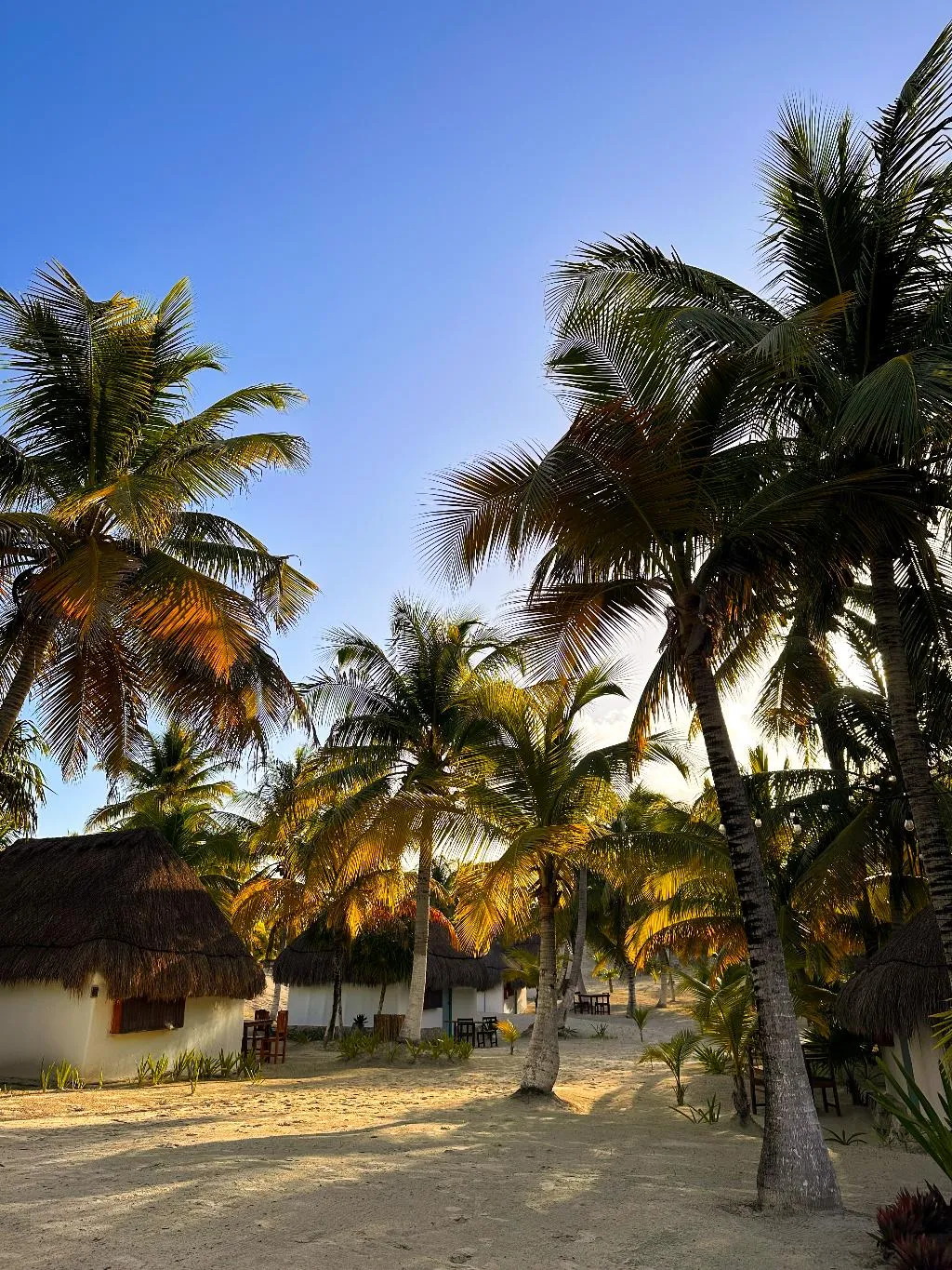 General view, Alito Tulum Hotel, Cancun Area