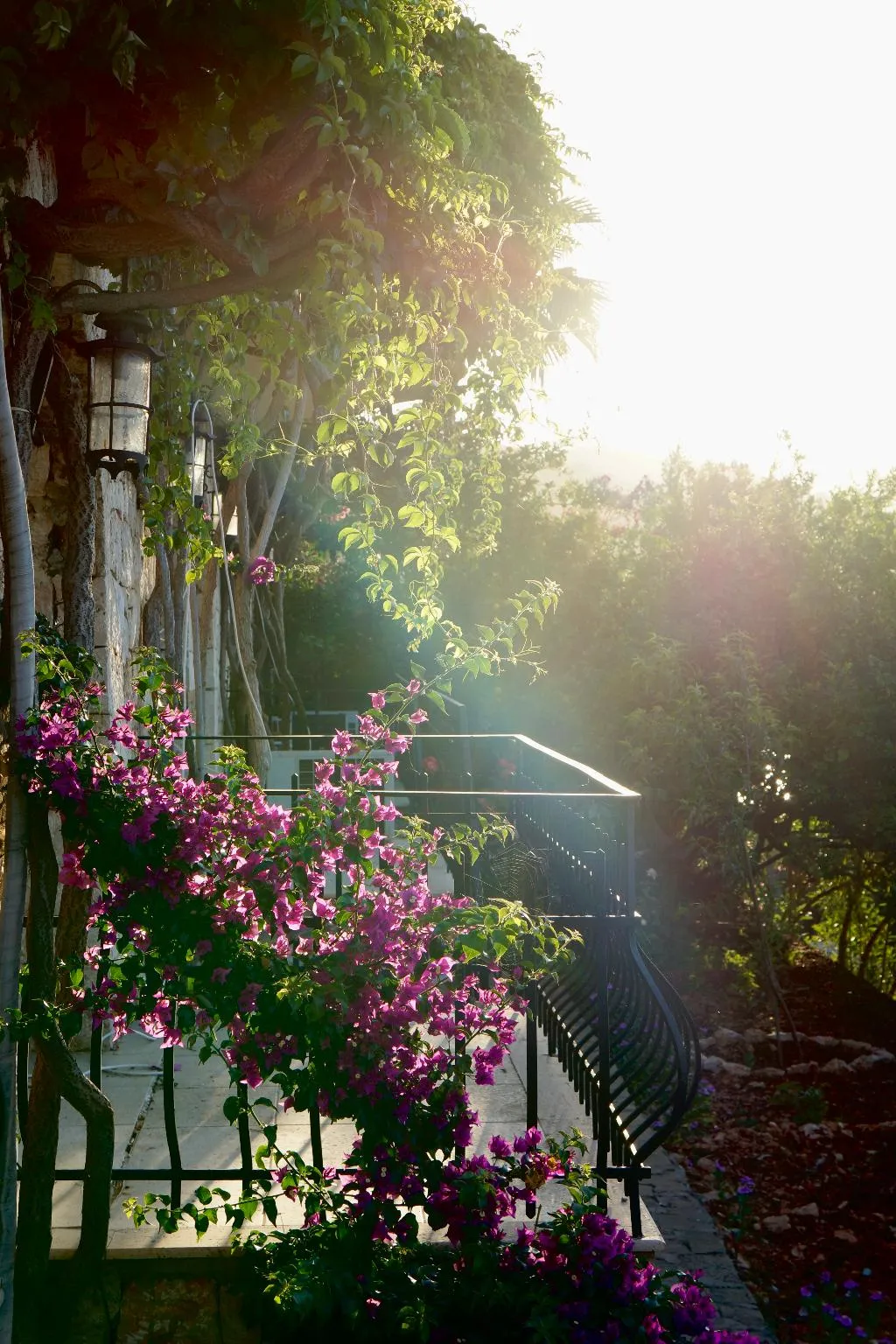 General view, Tamara Prive Adult Only+12, Dalaman