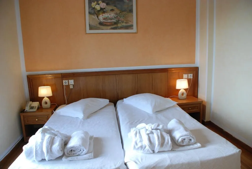Double or Twin STANDARD Room, Delphi Palace, Athens