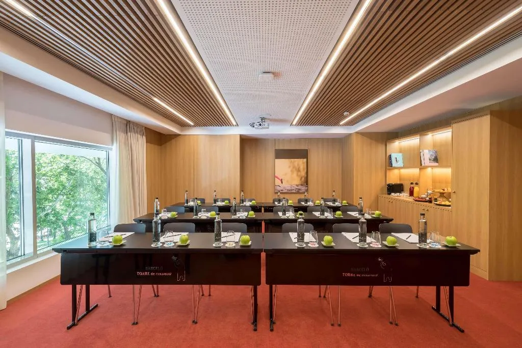 Conferences, Barceló Torre de Madrid, Madrid