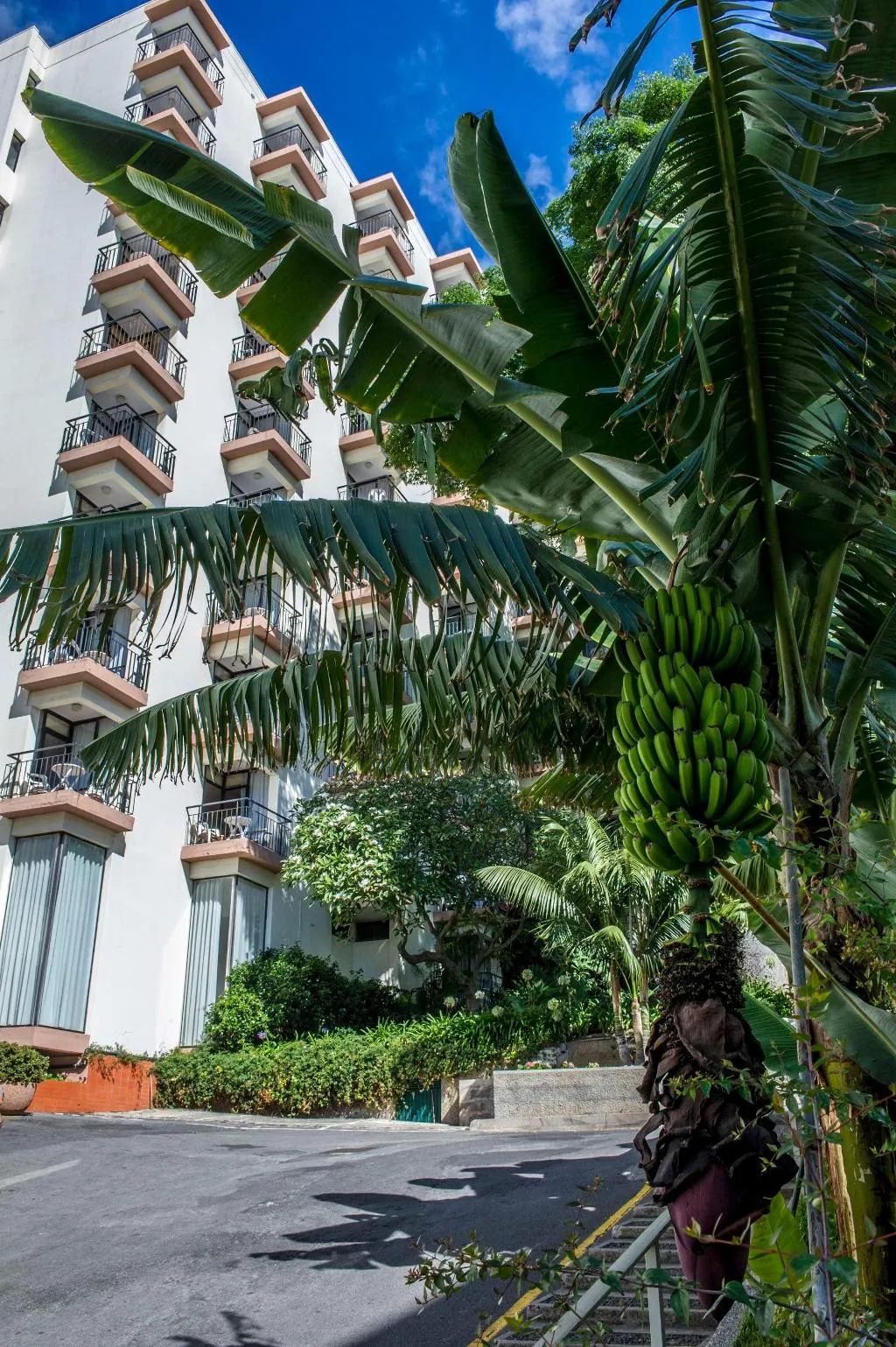 General view, Mimosa Studio Hotel, Madeira