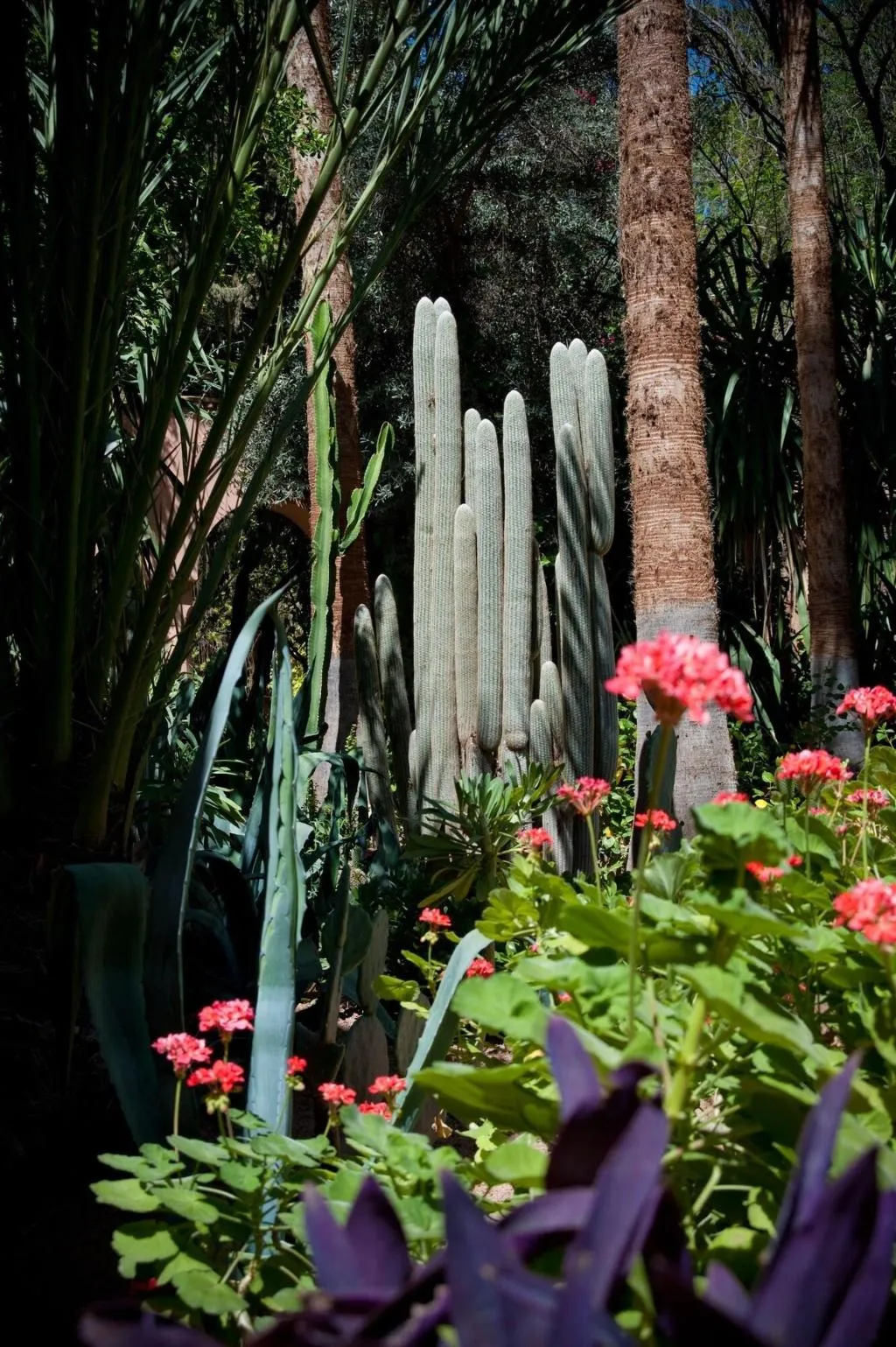 General view, Dar Ayniwen Garden Hotel & Bird Zoo, Marrakech