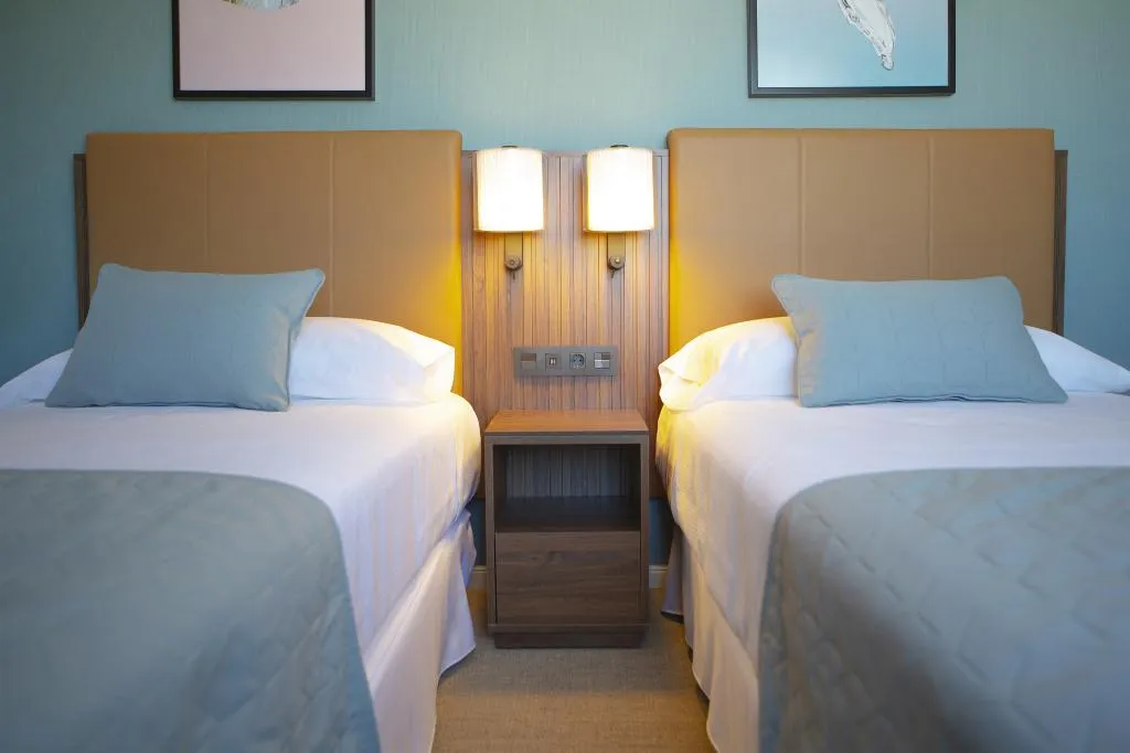 TWIN DELUXE Room, Hotel Riu Plaza España, Madrid