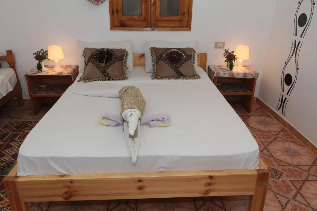 Room, Amon Hotel, Luxor