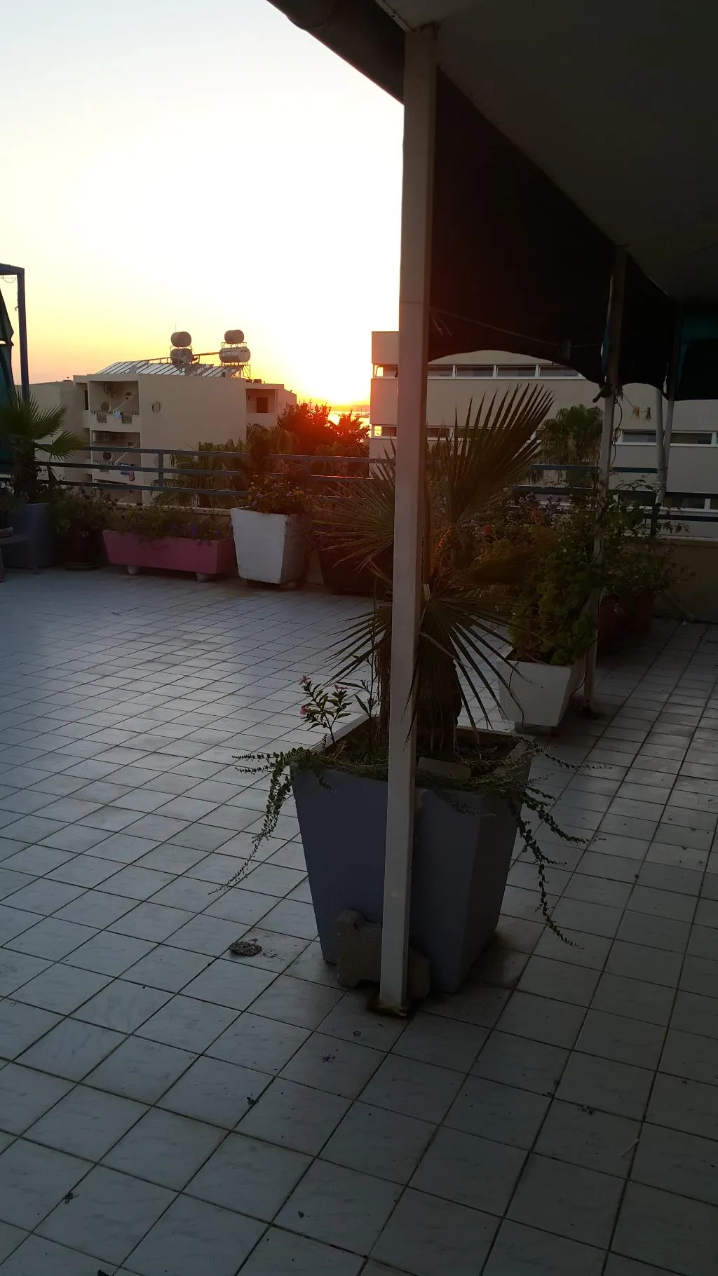 Terrace, Delphin Apart Hotel, Antalya