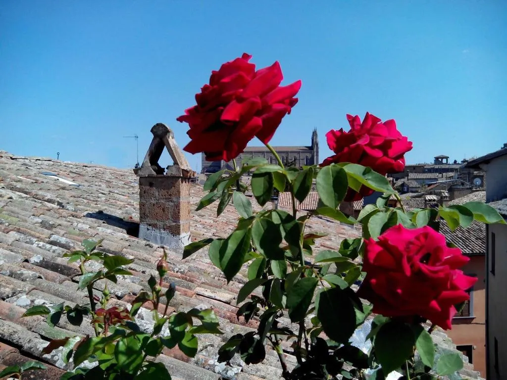 Terrace, Orvieto In Terrazza, Perugia