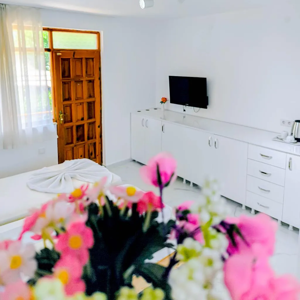 APARTMENT CLASSIC ONE BEDROOM Room, Erendiz Garden Hotel, Antalya