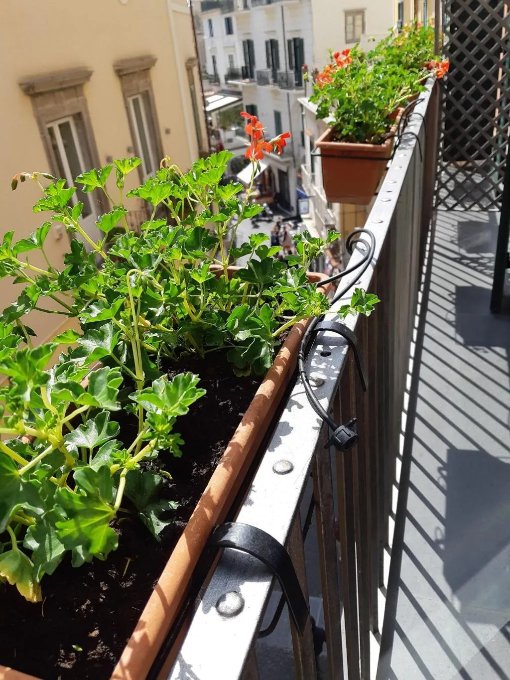 Room, Hotel Antica Repubblica, Naples