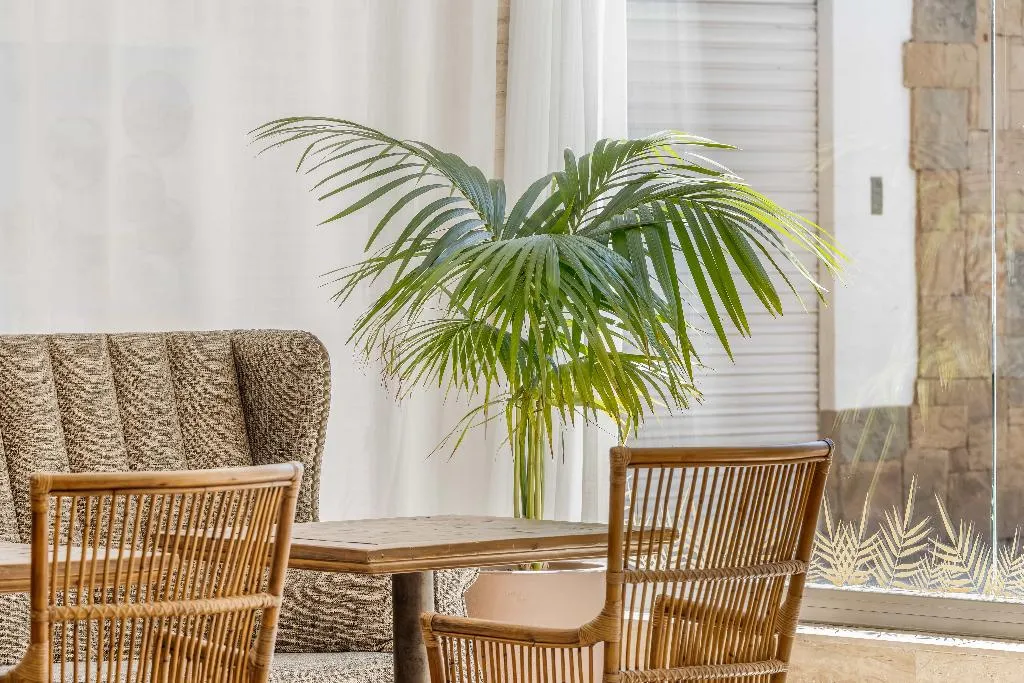 Lobby, Metropol Hotel, Costa Brava