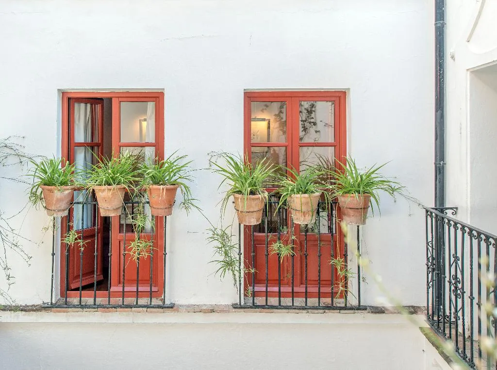 General view, Casas de la Juderia, Seville