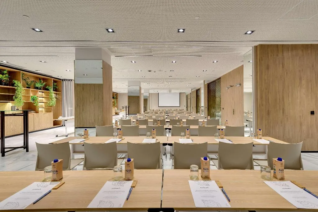 Conferences, Melia Madrid Serrano, Madrid