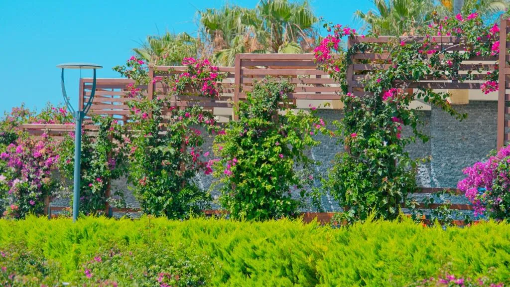 DOUBLE STANDARD Room, Feniks Hotel Alanya Adult Only +12, Antalya