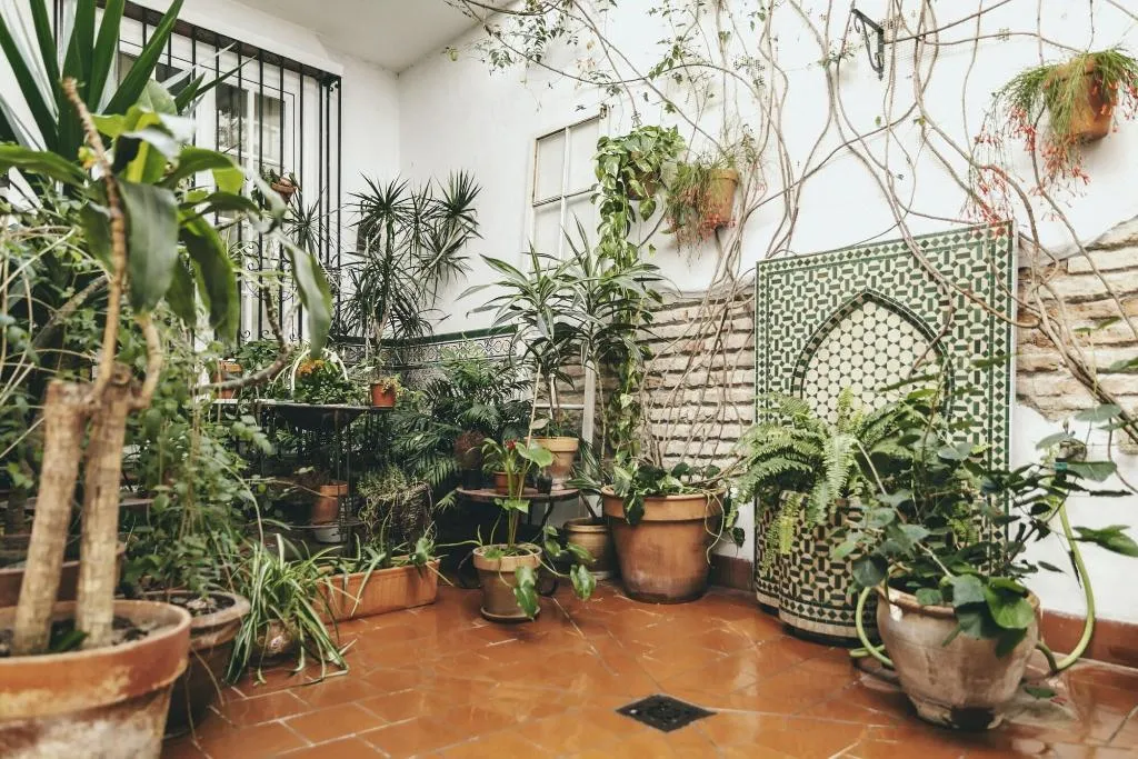 Terrace, El Riad Andaluz, Costa Del Sol