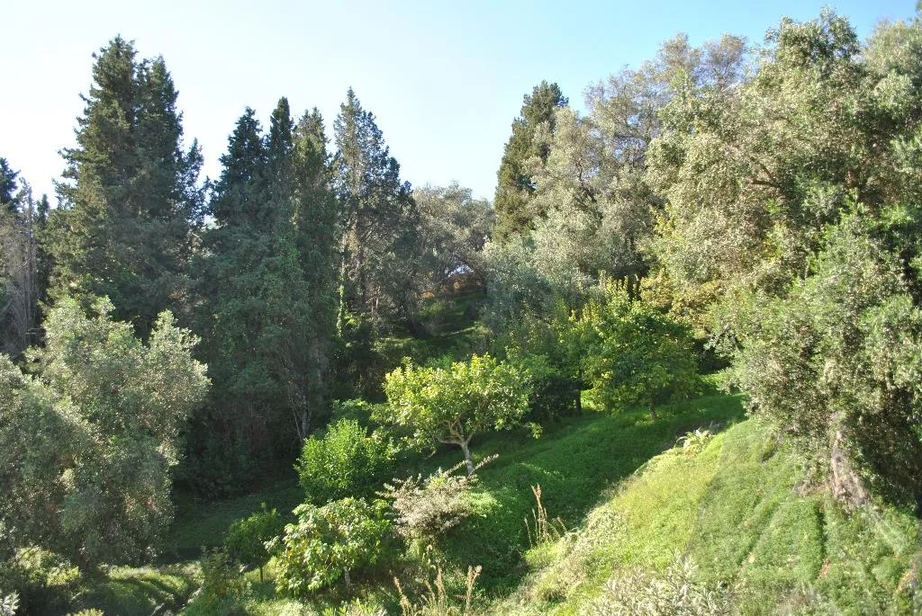 General view, Helios Splendid, Corfu