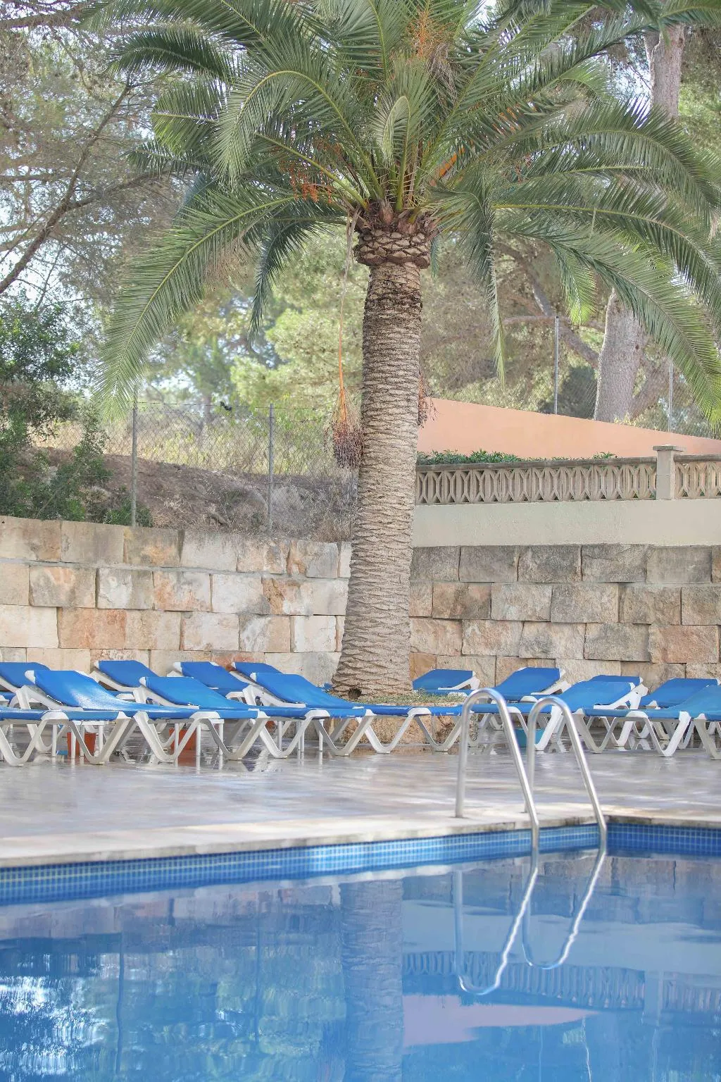 Pool, Elegance Playa Arenal, Majorca