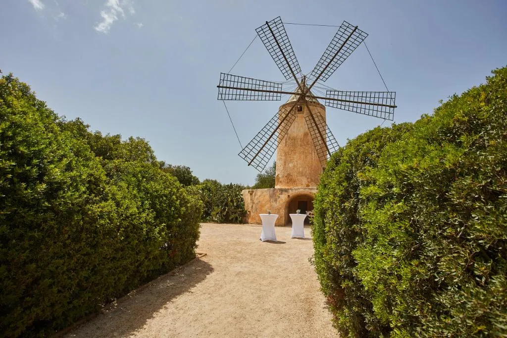 Conferences, Zoetry Mallorca Wellness and Spa, Majorca