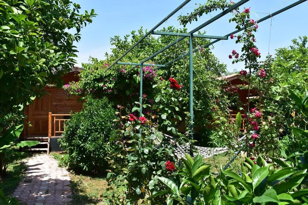 General view, Lemon Garden Lodge, Antalya