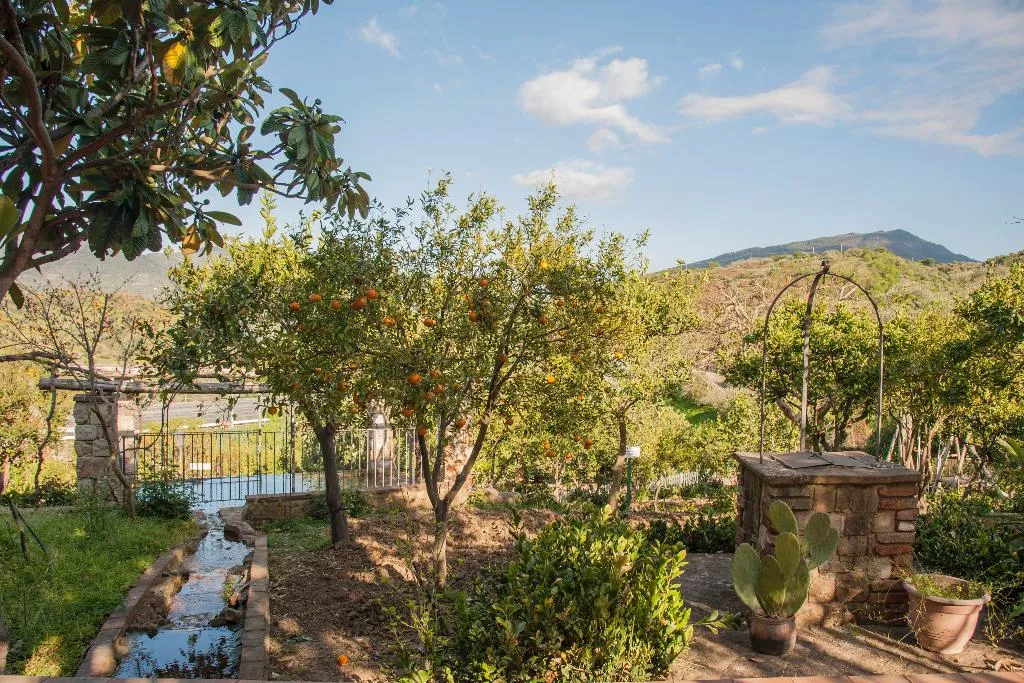 General view, Azienda Agrituristica Bergi, Palermo