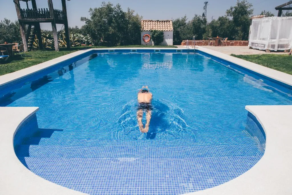 Pool, Molino La Nava, Costa Del Sol